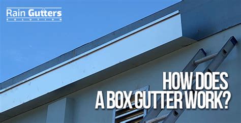 tern metal for box gutters|caulking box gutters.